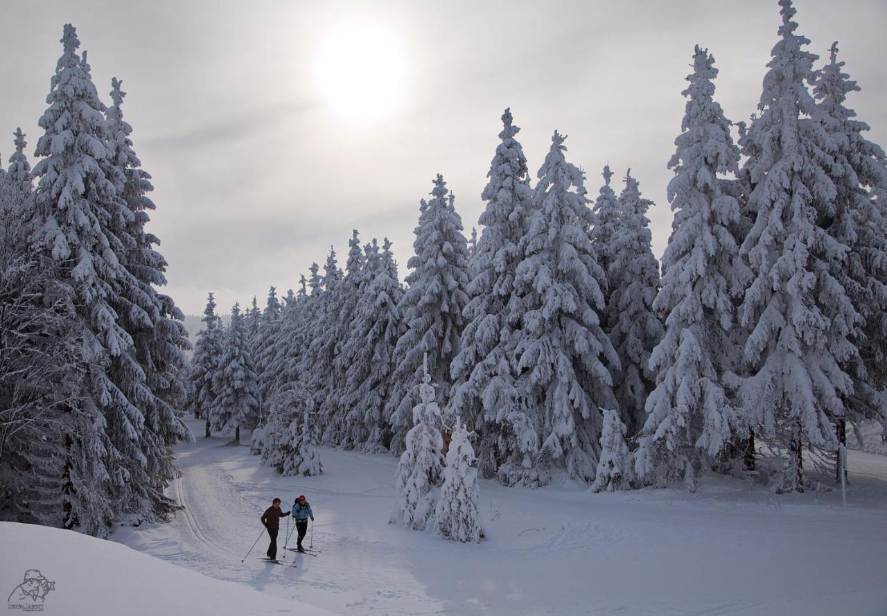 Gipfelstuermer Winterberg Extérieur photo